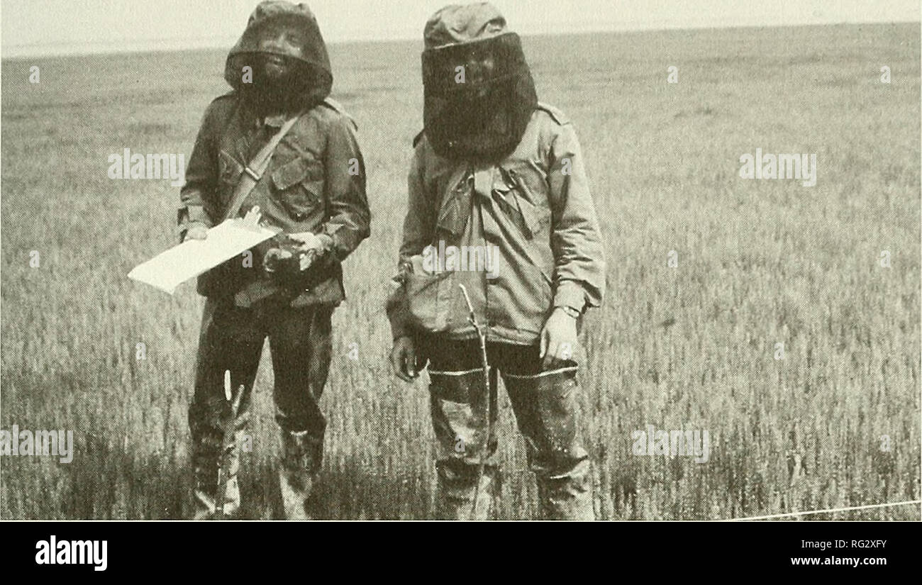 The Canadian Field Naturalist 1999 Burnett Chapter 6 Habitat Programs 95 In The Coastal Wetlands Of Quebec S James Bay Coast At Certain Times Of The Year The Swarms Of Biting Insects Become