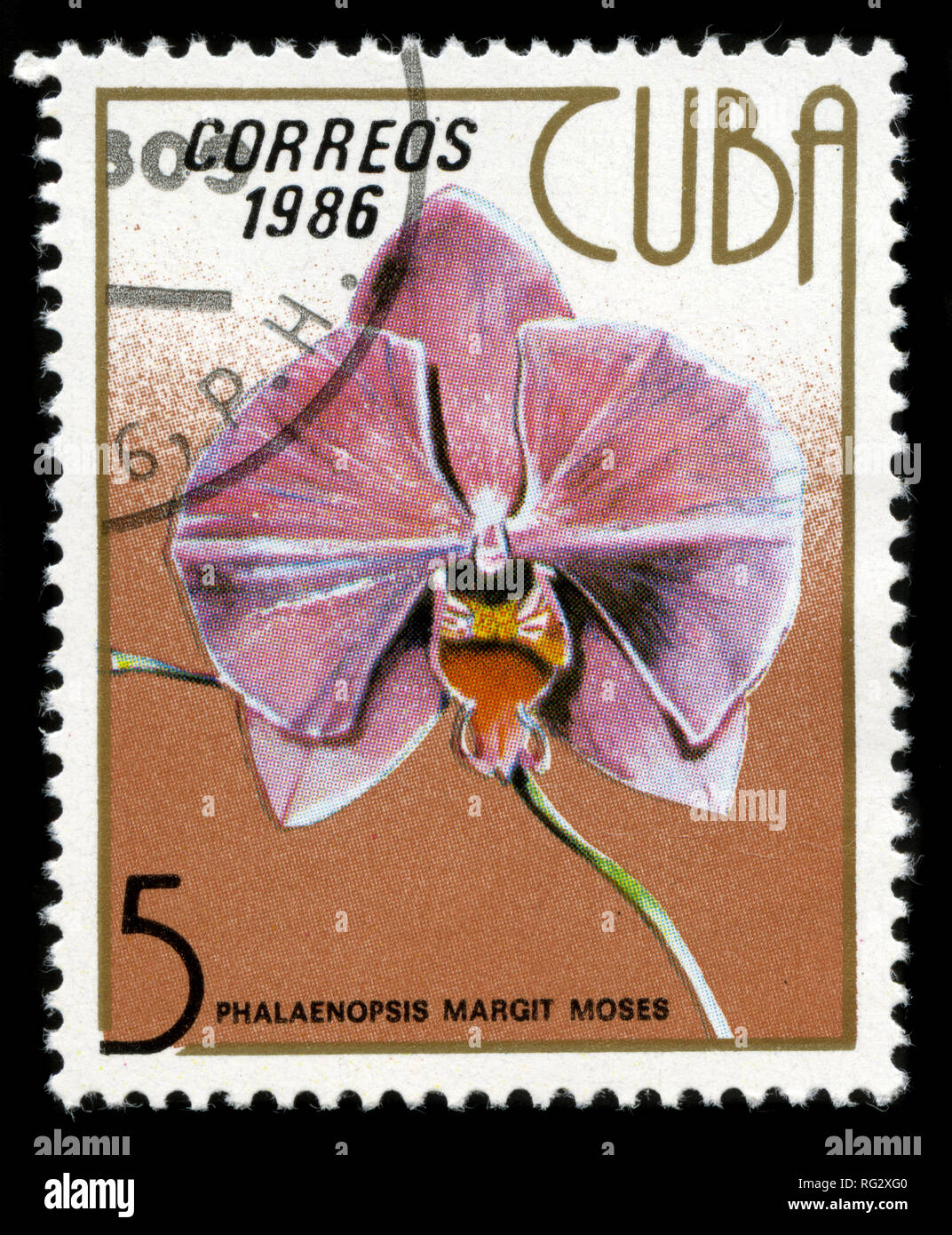 Postage stamp from Cuba in the Orchids series issued in 1986 Stock ...