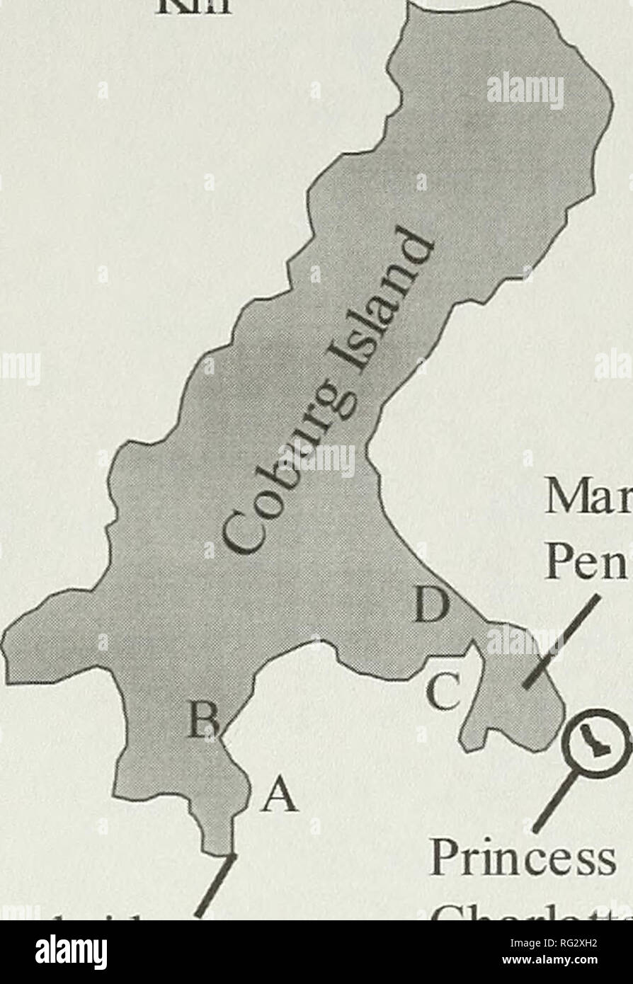 . The Canadian field-naturalist. Figure 1. Map showing Coburg Island, the Northwater Polynya (shaded region between Coburg Island and Greenland), and the range of breeding Atlantic Puffin colonies for both F. a. arctica and F. a. nau- 0 5 10 UujJ I Km. Marina Peninsula Cambridge Point Princess Charlotte Monument Figure 2. Area map of Coburg Island. Annotated locations refer to, (A) main colony; (B) Camp Beach, (C) Epic Bay; and (D) Cabin Beach. format black-and-white film, which is now archived at the Canadian Wildlife Service, Yellowknife, Northwest Territories, Canada. We report only on bird Stock Photo