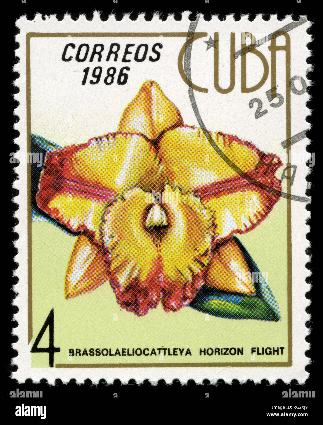 Postage stamp from Cuba in the Orchids series issued in 1986 Stock Photo