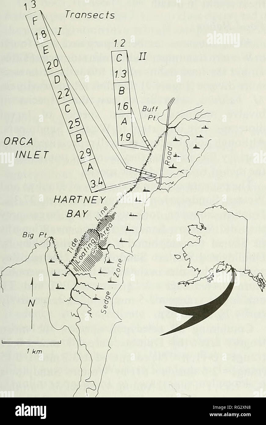 . The Canadian field-naturalist. 1989 Senner, Norton, and West: Western Sandpipers and Dunlins 373 Transects. Figure 1. Map of the Hartney Bay study site, with an inset showing the location of Hartney Bay in Alaska. The tide line approximates a 3/4 high tide. The enlarged transects show transect numbers, zones, and approximate tidal elevations (m). feeding shorebirds were concentrated and easily visible from the Hartney Bay road (Figure 1). Because of the distance to it (ca. 1 km) and low- density usage by shorebirds of the lower intertidal zone, the transects did not extend to the mean low wa Stock Photo