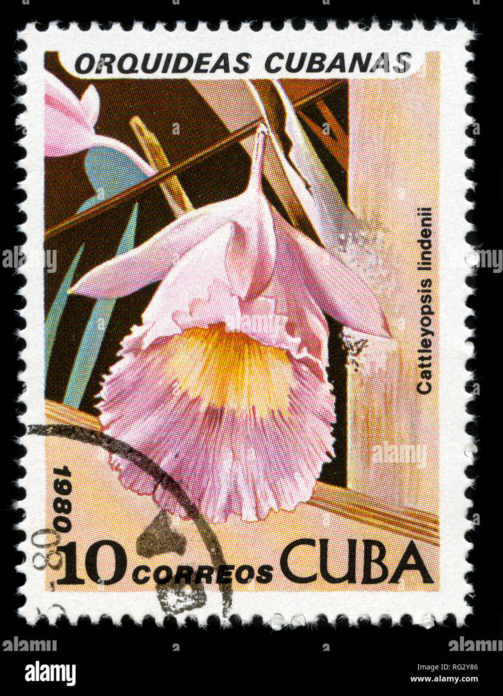 Postage stamp from Cuba in the Orchids series issued in 1980 Stock Photo