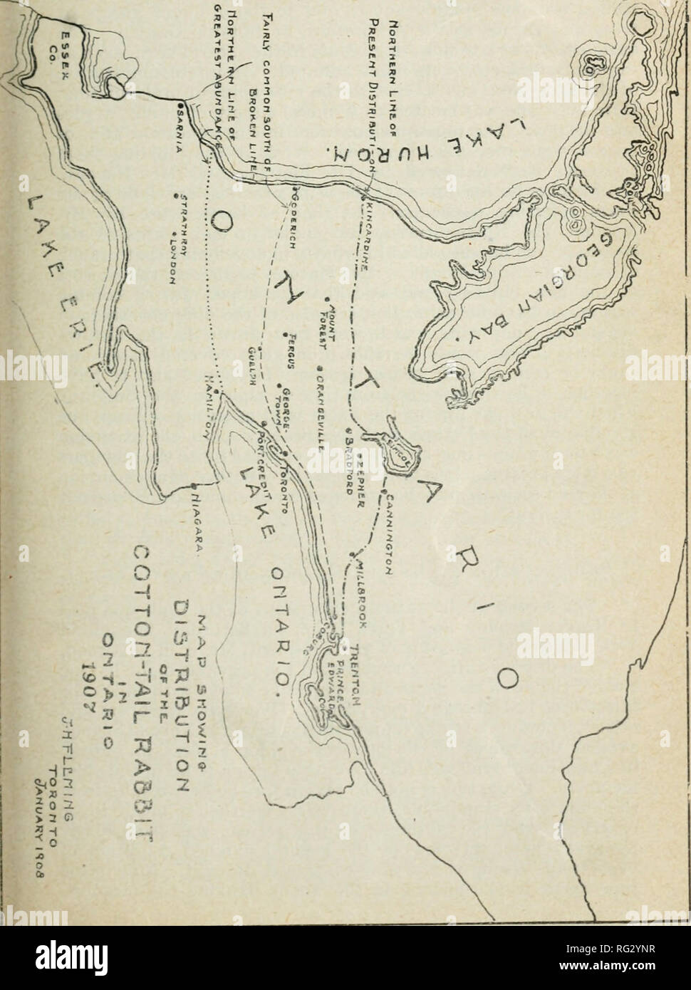 The Canadian Field Naturalist Natural History 1908 Cotton Tail Rabbit 159 0 1 2 C I Aj R Quot R C A 0 53 Sp Gt 0 Gt X 0 2 2 N The Canadian Field Naturalist Natural History 1908 Cotton Tail Rabbit 159 0 1 2 C I Aj R Quot R C A 0 53 Sp Gt 0 Gt X 0 2 2 N