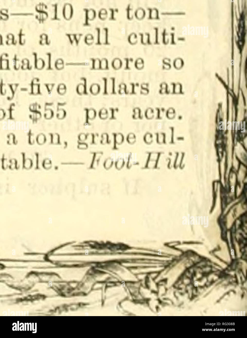 California Agriculturist And Live Stock Journal Agriculture