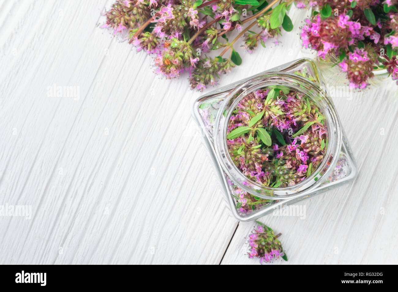 Thymus serpyllum herb in bottle.Thyme is a medicinal herb for