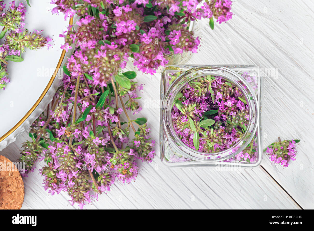 Thymus serpyllum herb in bottle.Thyme is a medicinal herb for