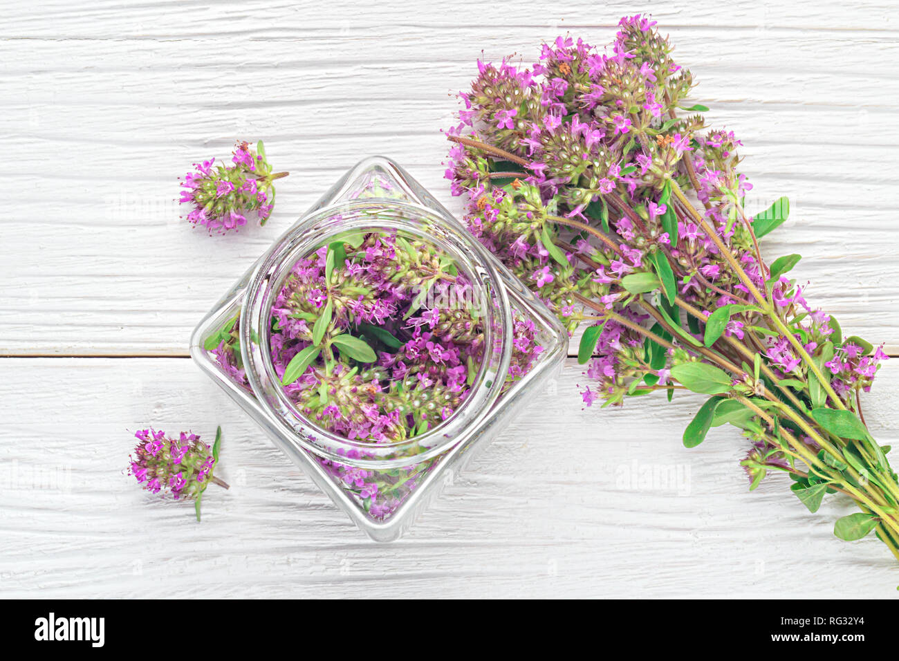 Thymus serpyllum herb in bottle.Thyme is a medicinal herb for