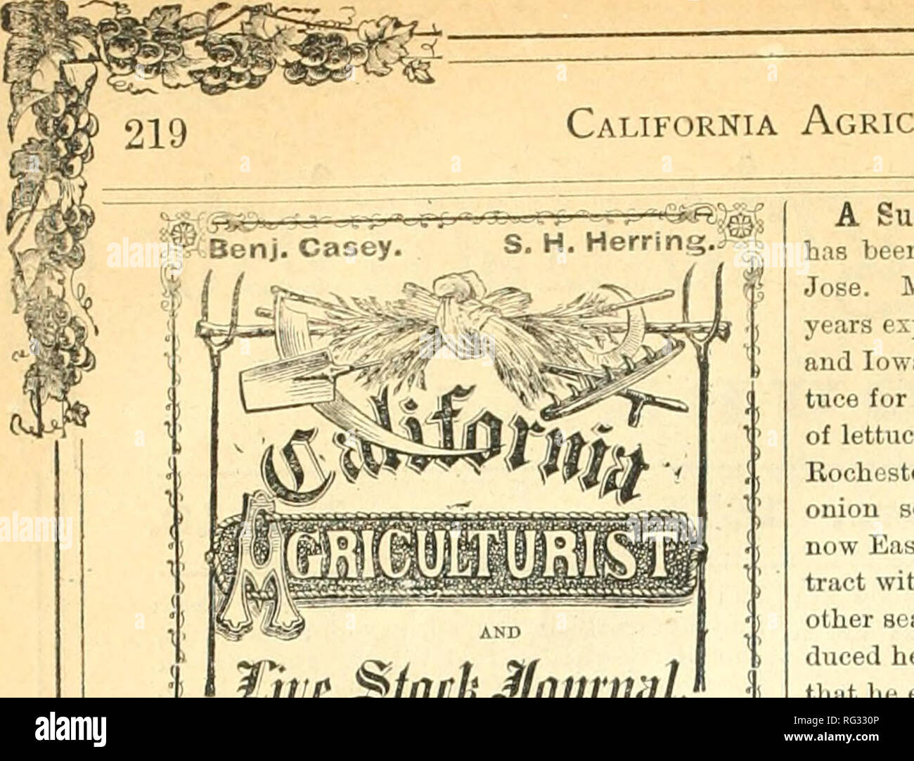 . California agriculturist and live stock journal. Agriculture -- California; Livestock -- California; Animal industry -- California. California Agriculturist and Live Stock Journal. gmghe1t^aun(itlJ S. HAEEIS HEREING &amp; 00., Kilili&gt;i'.s and rublishi-TS. OKFK'K: Over tlie Siin Jose Siivltiffs Rank, liiillmcliN Biiildiiiu;, $&gt;uiita C'lura Street, near First, Sim Jose. SPECIAL TEEMS TO AGENTS. BATES OF ADVERTISING. Per onp C.ihimn ?15 nn Per Month â¢â¢ iKilf Oohimn 8 00 &quot; &quot; fimrlli &lt;:nlmin 4 00 &quot; &quot; &quot; .â islithClnnm 2 00 &quot; &quot; sixteenth Column 100 *'  Stock Photo