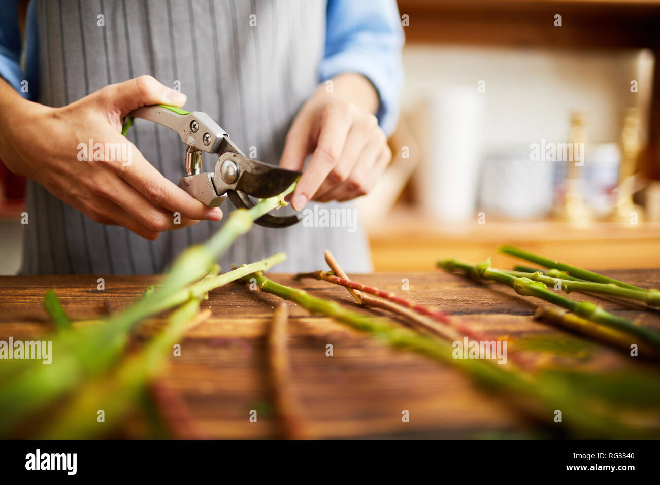 Woman cutting flower stem hires stock photography and images Alamy