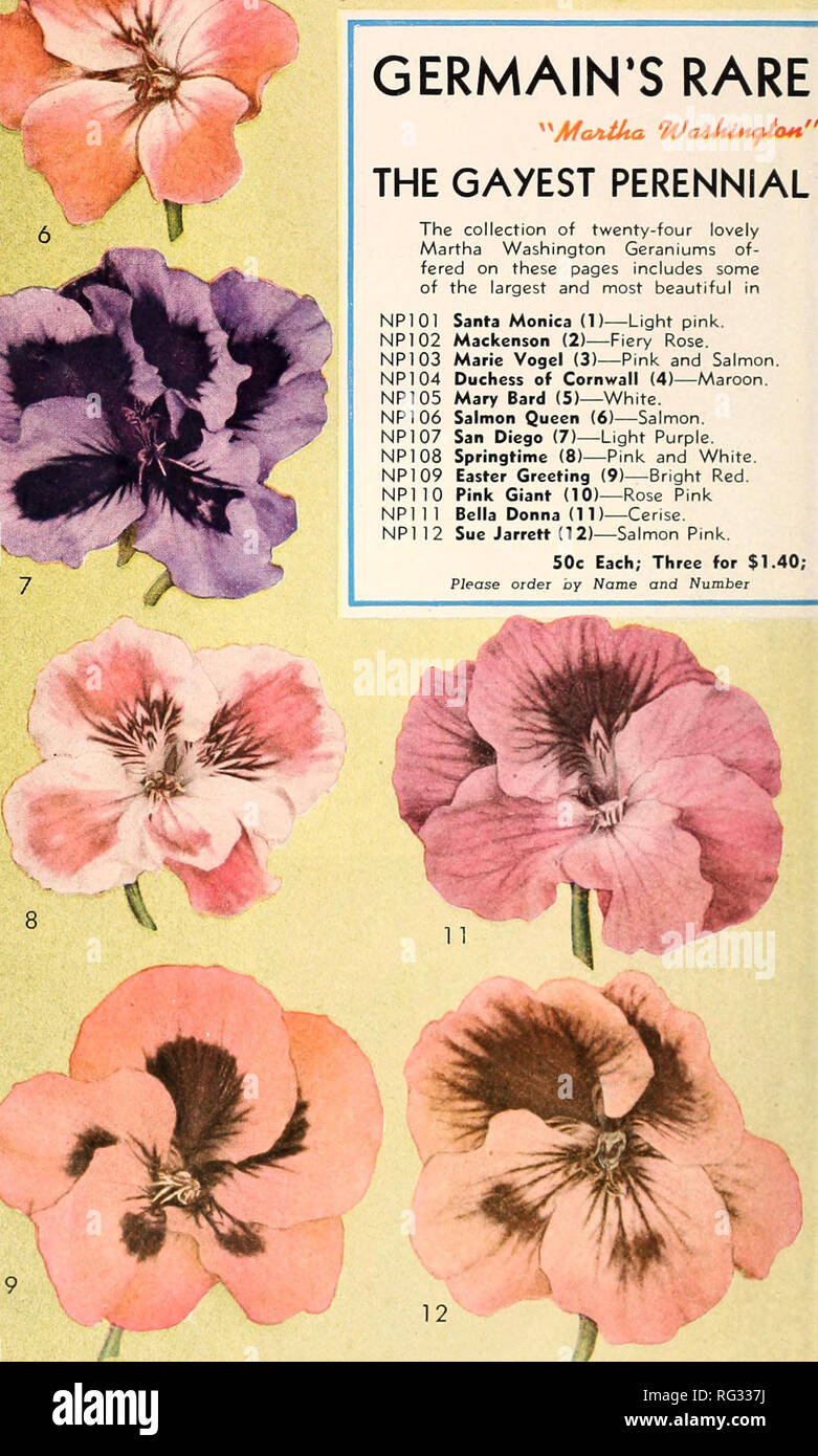 . California sets the fashion. Nurseries (Horticulture) Catalogs; Flowers Seeds Catalogs; Roses Catalogs; Plants, Ornamental Catalogs. . Please note that these images are extracted from scanned page images that may have been digitally enhanced for readability - coloration and appearance of these illustrations may not perfectly resemble the original work.. Germain Seed and Plant Company; Henry G. Gilbert Nursery and Seed Trade Catalog Collection. Los Angeles, Calif. : Germain Stock Photo