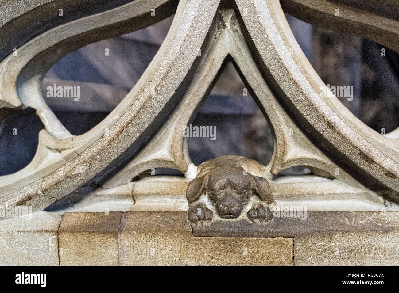 The small sculpture of a dog, on the pulpit, would recall the habit of preacher Jean Geiler of Kaysersberg to come with his dog, in Strasbourg, France Stock Photo