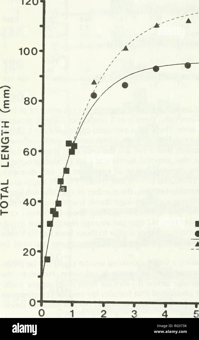 . California fish and game. Fisheries -- California; Game and game-birds -- California; Fishes -- California; Animal Population Groups; Pêches; Gibier; Poissons. 220 CALIFORNIA FISH AND CAME (Table 3). Frequently encountered prey items, those with 25% or greater occur- rence, weregammarideans (50.8%), copepods (31.5%), and the isopod Cirola- na harfordi (26.2%). Clearly, small crustaceans formed the bulk of the diet. Less frequently encountered items, 20-25% occurrence, were polychaetes (23.0%), the tanaidacean Anatanais normani (22.2%), and mollusks (21.8%). Algae (19.8%), larvae of the dipte Stock Photo