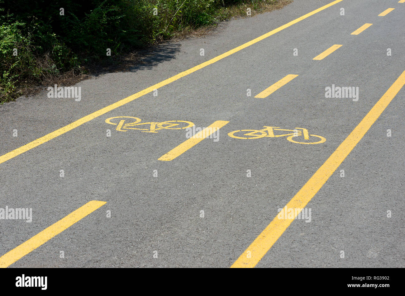 Bicycle track in Park Stock Photo