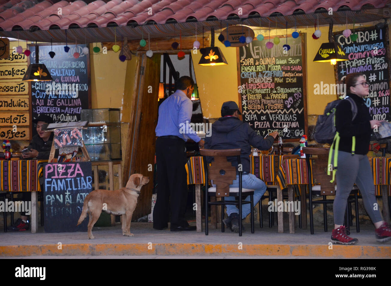OLLANTAYTAMBO / PERU, August 15, 2018 : A dog watches dinner being served in a restaurant in the main square of Ollantaytambo. Stock Photo