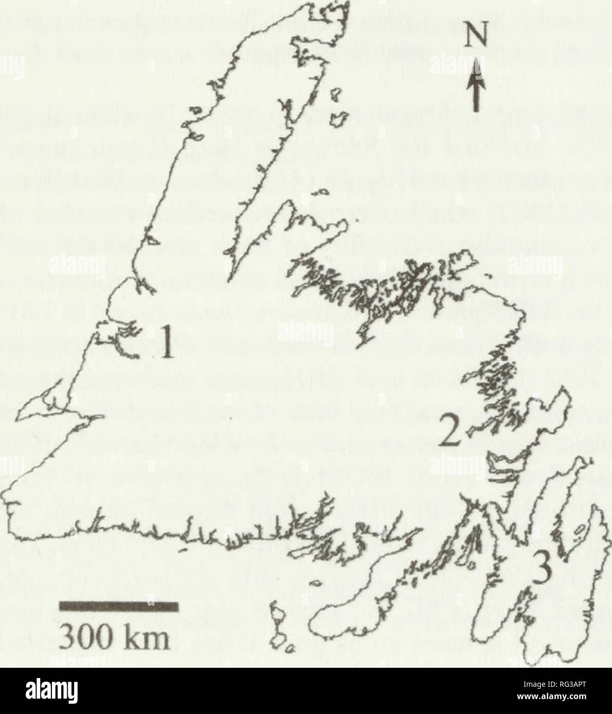 . The Canadian field-naturalist. Natural history; Sciences naturelles. 324 The Canadian Field-Naturalist Vol. 119 from transportation of logs to the liner board mill in Stephenville from Labrador from as far back as the late 1960s. Shipments of these logs were sporadic over that period. The Masked Shrew {Sorex cinereus) was introduced in 1958 in an attempt to control outbreaks of the Hemlock Looper {Lambdina fiscellaria) (Warren 1970). The carnivore list increased in May 1987 when the Eastern Coyote (Canis latrans) became well-estab- lished after crossing the Gulf of St. Lawrence on win- ter i Stock Photo