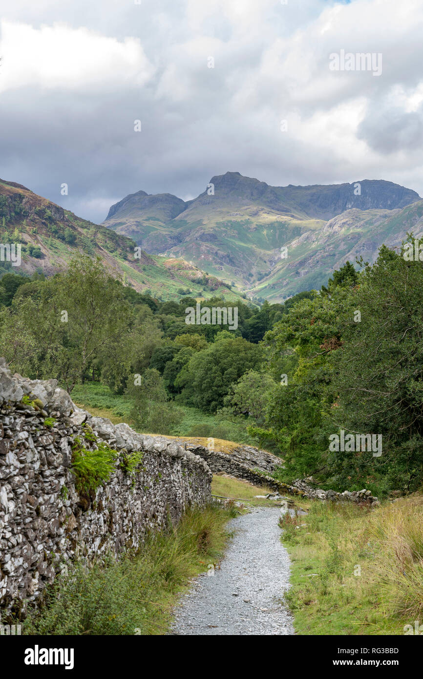 Lake District North West England UK taking in the fells of of the Langdale Valley with public footpaths and stone walls along the route Stock Photo