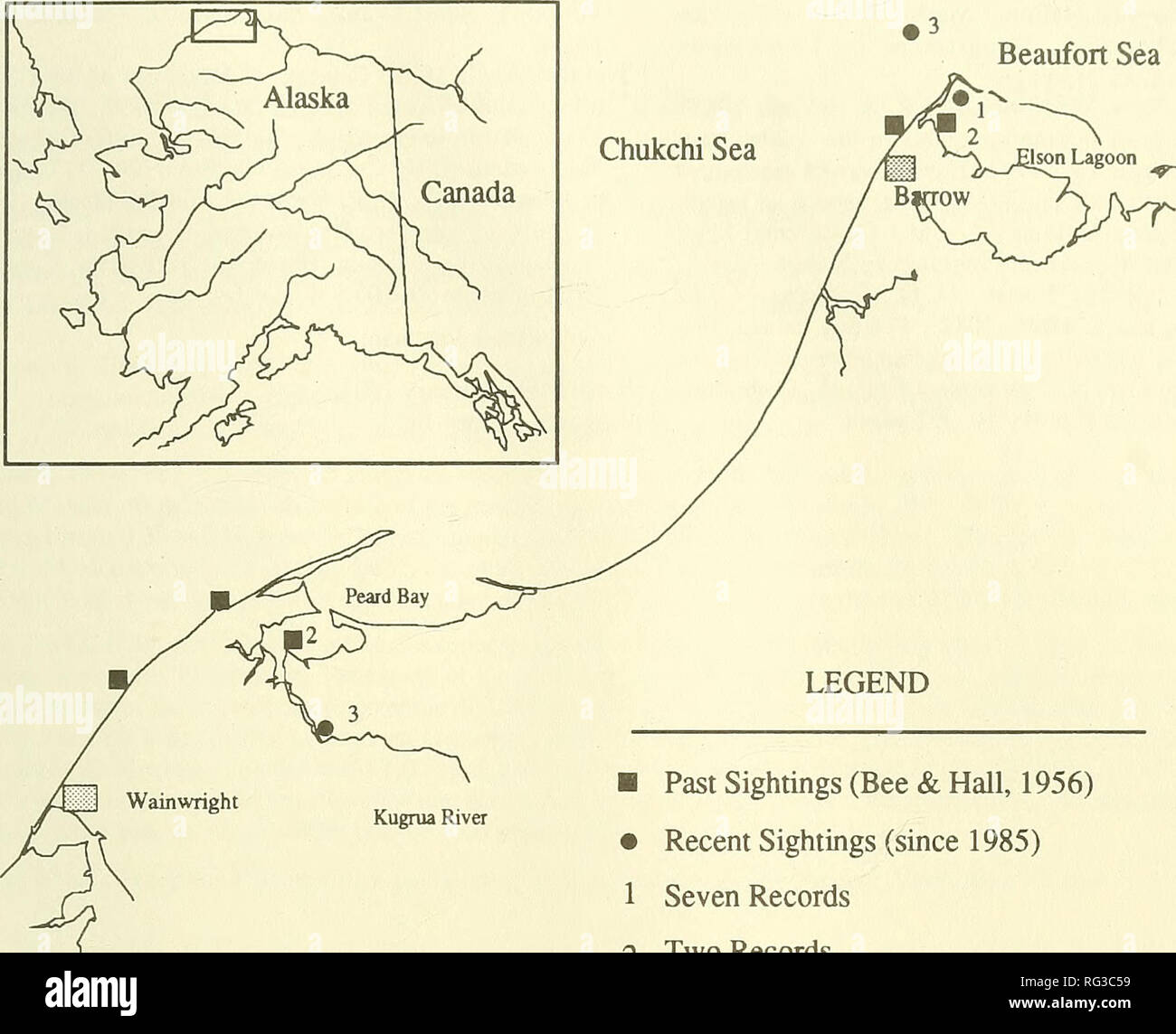 . The Canadian field-naturalist. 1992 SuYDAM AND George: Harbour Porpoises near Point Barrow 491 159 I 158  L  157 156 Beaufort Sea. LEGEND Kugrua River â Past Sightings (Bee &amp; Hall, 1956) â¢ Recent Sightings (since 1985) 1 Seven Records 2 Two Records 3 Exact Location Unknown â 20 â 10 â 71 â 50' â 40 Figure 1. Locations of recent and past sightings of Harbour Porpoise in the Point Barrow area. Porpoises. Kathy Frost, D. E. Gaskin, Lloyd Lowry, David Norton and two anonymous reviewers provided helpful comments on the manuscript. This project was supported by the North Slope Borough, Depart Stock Photo