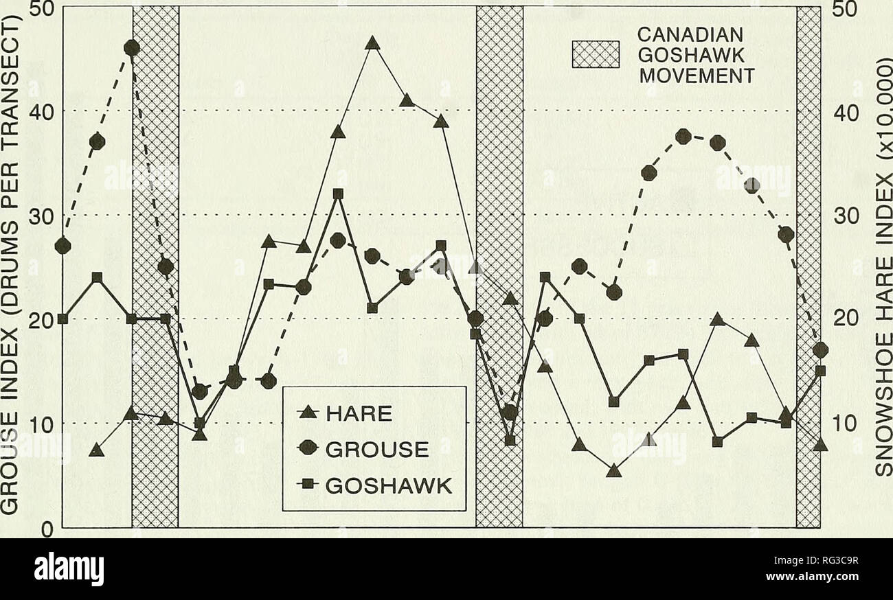 . The Canadian field-naturalist. 1998 Erdman, Brinker, Jacobs, Wilde, and Meyer: Goshawks in Wisconsin 19 5n I- LU LU &gt; I- o &lt; cc LLI Q- Q LU O Q LU  J LL W &lt; I 2-. 70 71 72 73 74 75 76 77 78 79 80 81 82 83 84 85 86 87 88 89 90 91 92 Figure 2. Ruffed Grouse index, Snowshoe Hare index and Northern Goshawk reproductive success in northeastern Wisconsin between 1970 and 1992. gers, trout fishermen, falconers and bird watchers, as well as other interested individuals. In 1986, the Goshawk was listed as a sensitive species on NNF, requiring nest site protection. We conducted work- shops an Stock Photo