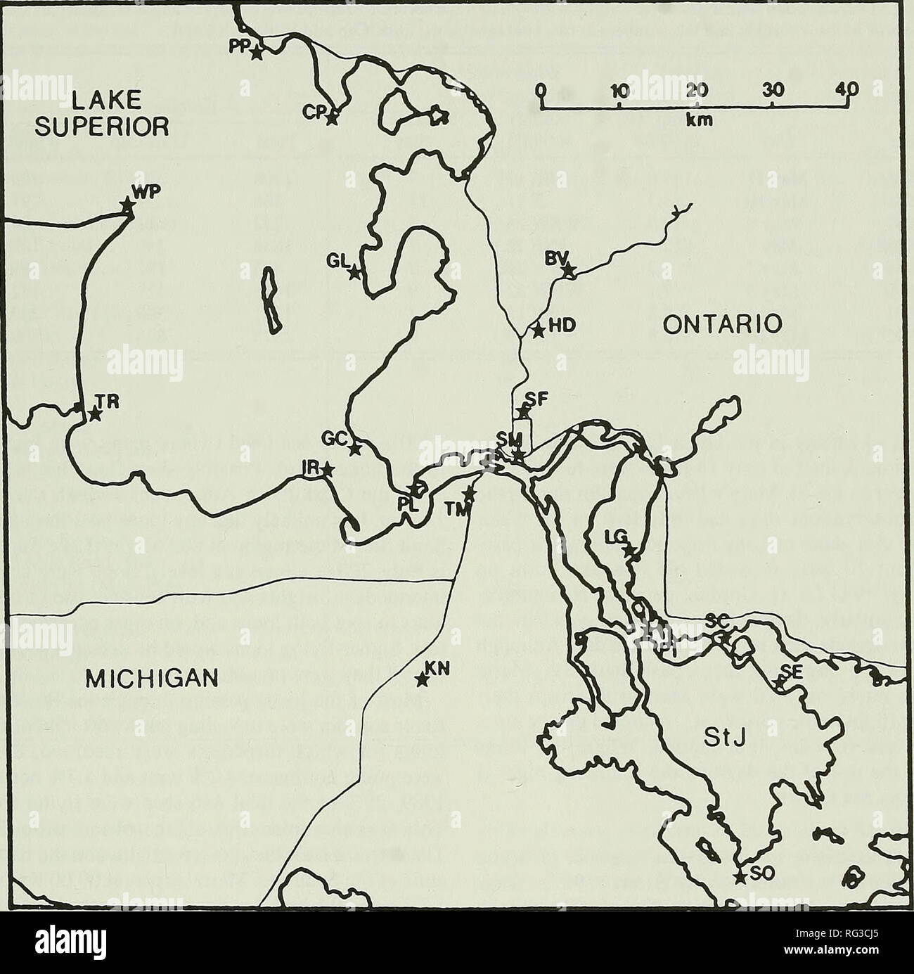. The Canadian field-naturalist. 1993 Sanders: Spring Migration Routes of Common Loons 197 LAKE SUPERIOR 10 20 30. Figure 1. Map of the Sault Ste. Marie region of the Great Lakes, showing the location of the observation sites from which loon migration was recorded. See Table 3 for names corresponding to the abbreviations. breeding plumage, with the exception of four loons passing Gros Cap in 1990 and three flying up the St. Mary's River past Sault Ste. Marie in 1992, which were identified as Red-throated Loons. Of 4838 loons recorded by Ewert (1982) passing Whitefish Point in 1982, only 18 wer Stock Photo