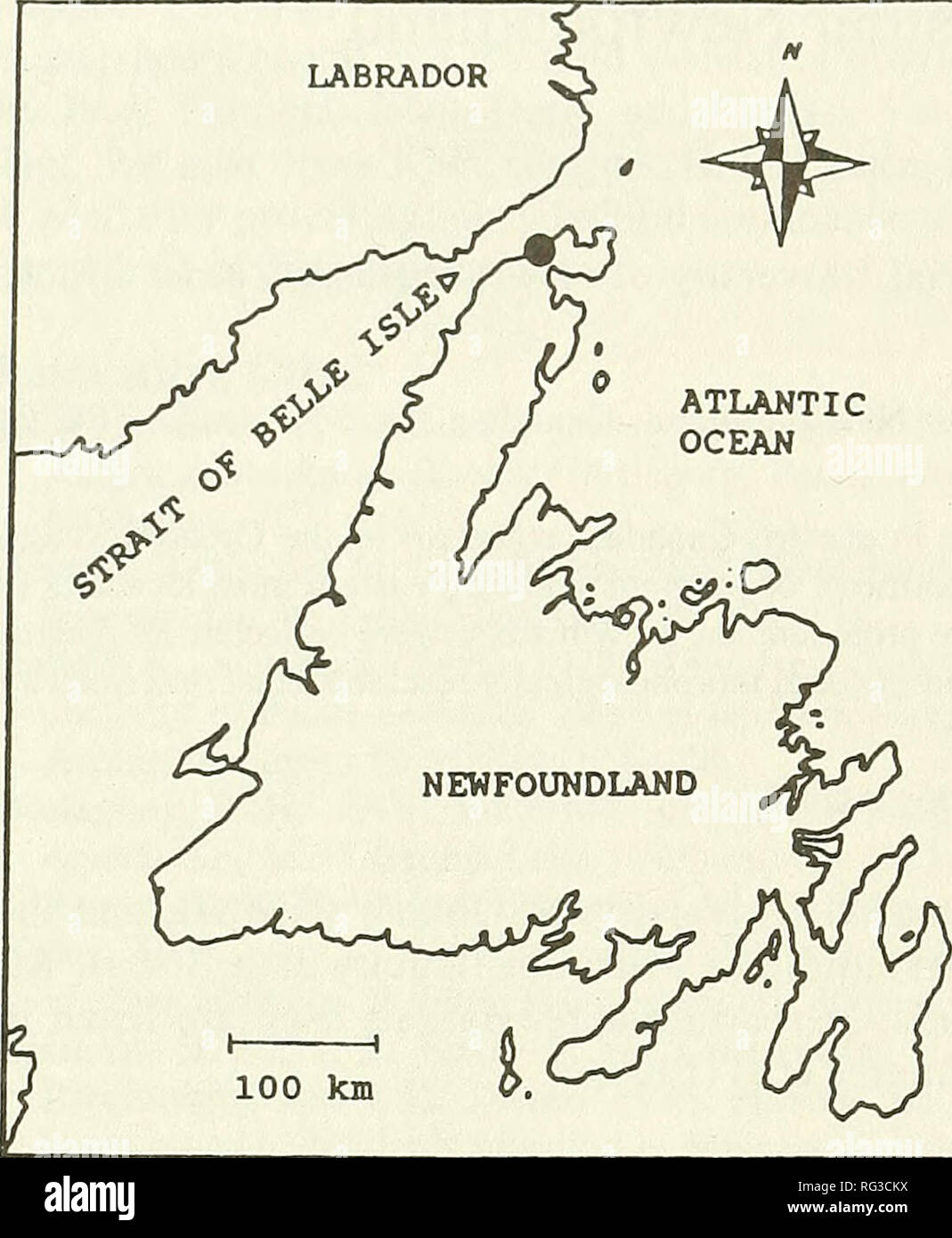. The Canadian field-naturalist. 298 The Canadian Field-Naturalist Vol. 108 LABRADOR. Figure 1. Location of Tolypella glomerata in insular Newfoundland, Canada. have previously occurred receiving runoff and seep- age water from the inland escarpment. It is likely, however, that the macrophytes present were intro- duced since the construction period. The larger pool is approximately 200 m2 in area whereas the smaller pool 100 m to the northeast is only one-third this size. Maximum water depth which measured 25 cm fluctuated somewhat during the summer, but never dropped drastically and the pools Stock Photo