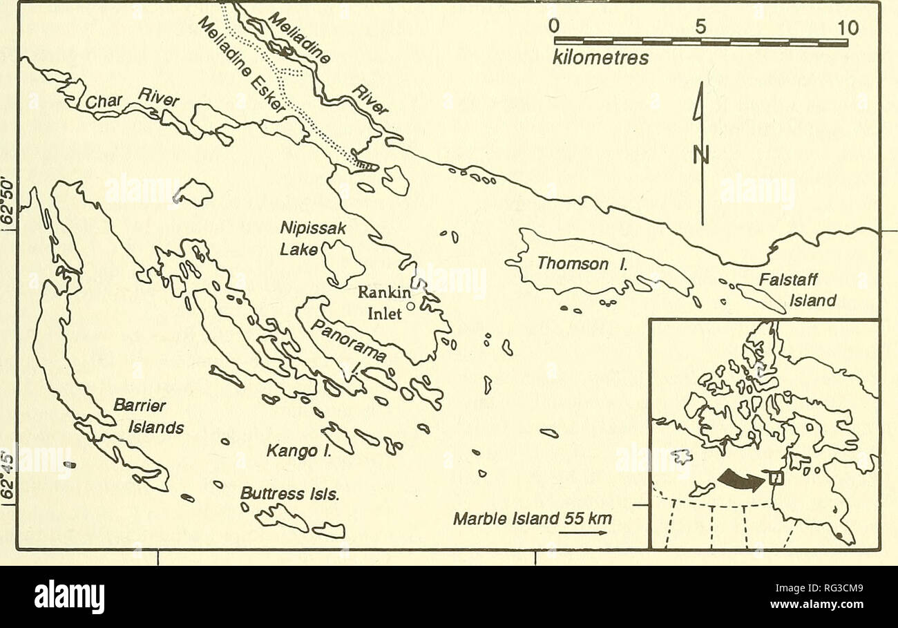 . The Canadian field-naturalist. 1992 Korol: Vascular Plant Flora of Rankin Inlet, N.W T. 9^15' 92roo' 343. Figure . Map of Rankin Inlet area, District of Keewatin, Nortiiwest Territories. Inset shows location within northern Canada. Annotated Species List A list of vascular plants collected by the author in 1988 follows. The list of 165 taxa includes two sub- species of Water Sedge {Carex aquatilis), two sub- species of Wooly Willow {Salix lanata) and two varieties of Tufted Saxifrage (Saxifi-aga caespitosa). All plant names are based on Porsild and Cody (1980) with exceptions noted in the Stock Photo