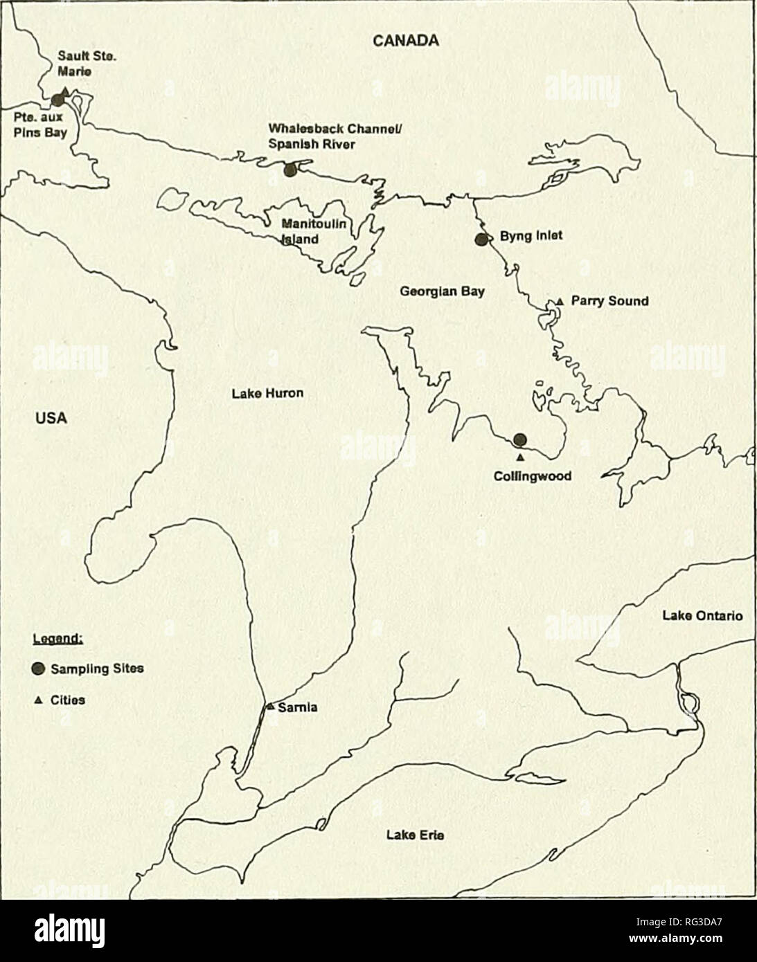 . The Canadian field-naturalist. 184 The Canadian Field-Naturalist Vol. 108. Figure 2. New locations of Teneridrilus flexus within the Great Lakes. 1.50-3.88 urn (n=12, x=2.83, s=0.7). Specimen and setal widths were not measured for comparison due to swelling of the body and setae in the mounting medi- um. The mounting medium also prevented a thorough examination of internal structures. Distribution and Habitiat Specimens of T. flexus were collected at Collingwood (Georgian Bay, 44°32'31&quot;N, 80°14'10&quot;W), Byng Inlet (Georgian Bay, 45°46'66&quot;N, 80°38'88&quot;W), Whalesback Channel/  Stock Photo