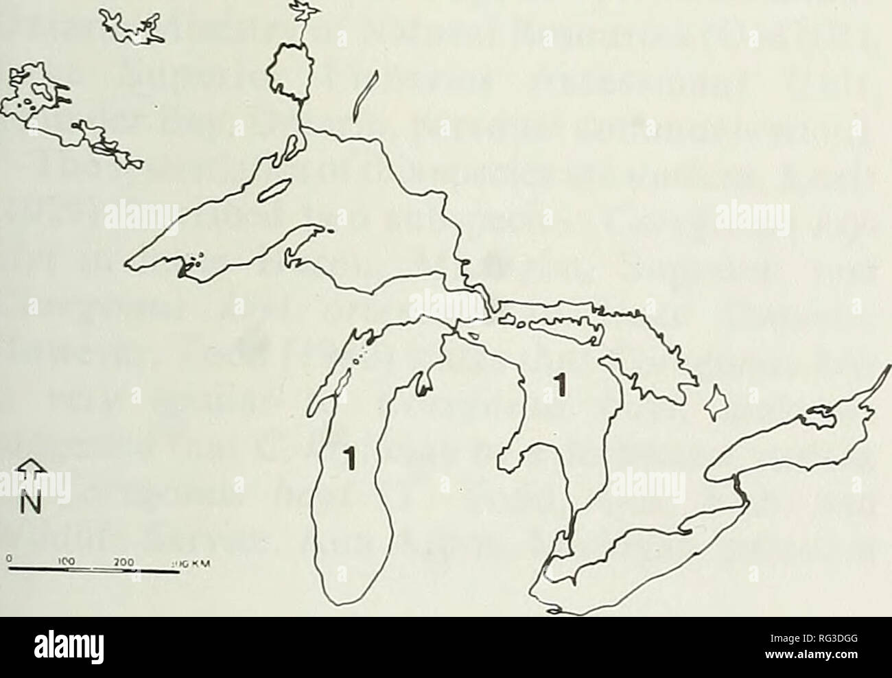 . The Canadian field-naturalist. Figure 1. Deepwater Cisco, Coregonus johannae (from Todd 1980, by permission). Kernan, personal communication) also failed to produce any authenticated specimens of Corego- nus johannae from United States waters. Published information dealing specifically with Coregonus johannae populations in Lake Huron is lacking. Berst and Spangler (1972) state that the larger species of deepwater ciscos (which would include Coregonus johannae) had been selectively removed from Lake Huron by the 1940s as a result of Sea Lamprey predation and commercial fishing, as was the ca Stock Photo