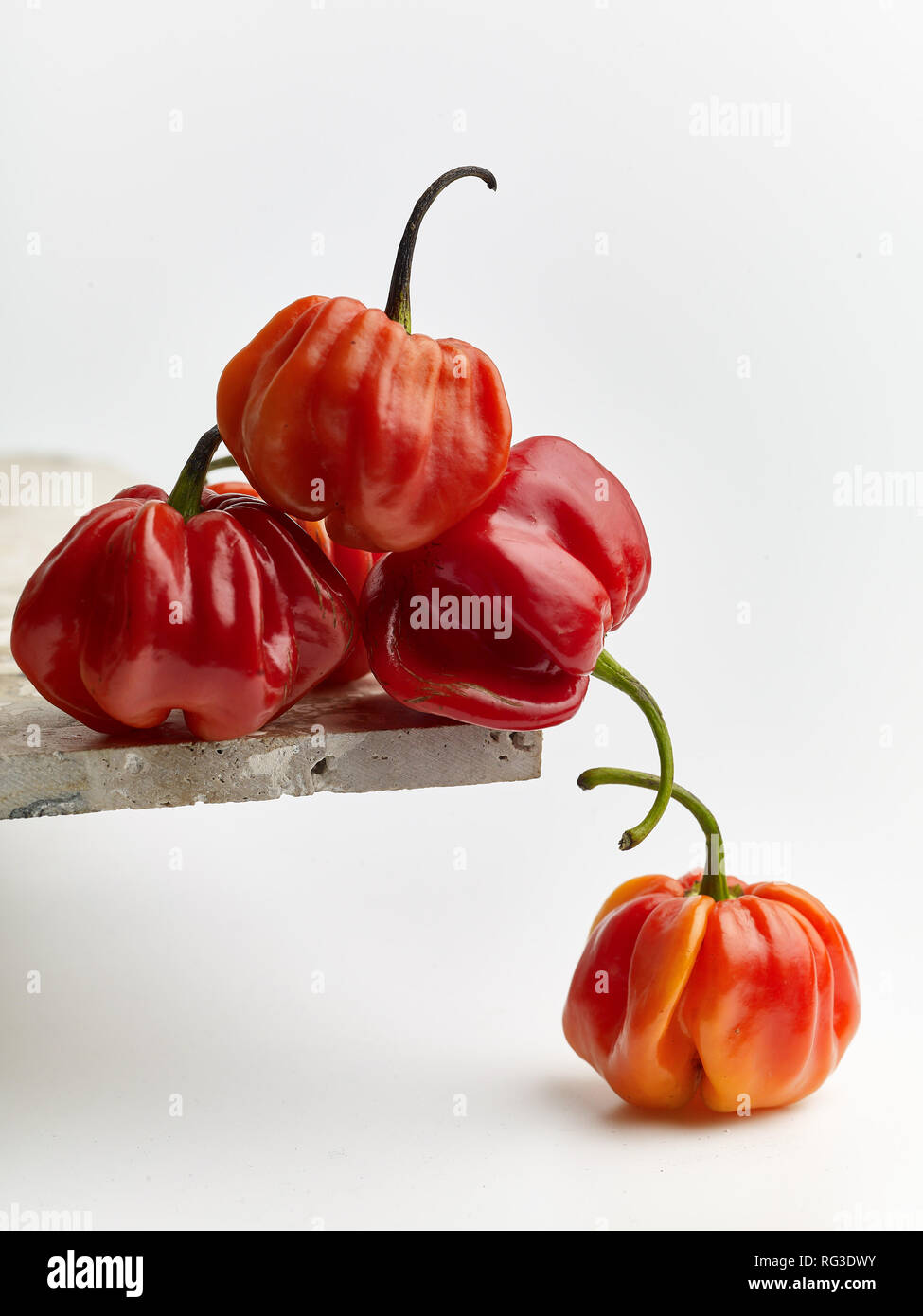 Colourful Scotch Bonnet hot pepper, food still-life photograph Stock Photo