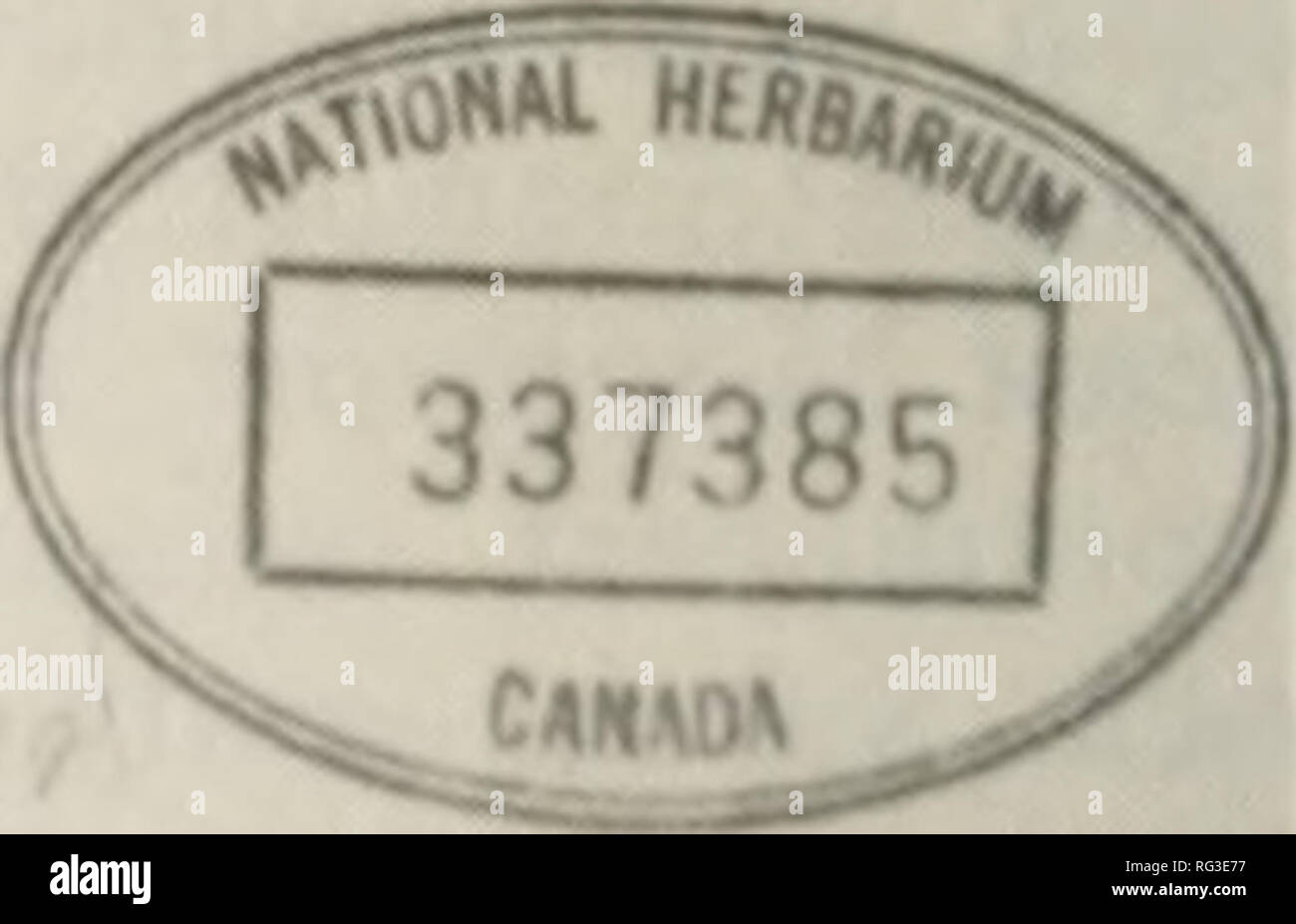 The Canadian Field Naturalist L V Gt National Herbarium Of Canada Flor L 01 C In Ida 1 1 Not N Quot A Quot A Quot Quot Quot A Botrkchiliu R A A Tm A I I I Ec Moit