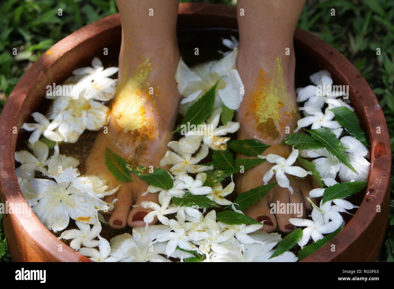 LKA, Sri Lanka Siddhalepa Ayurveda Resort , Food massage, oiling