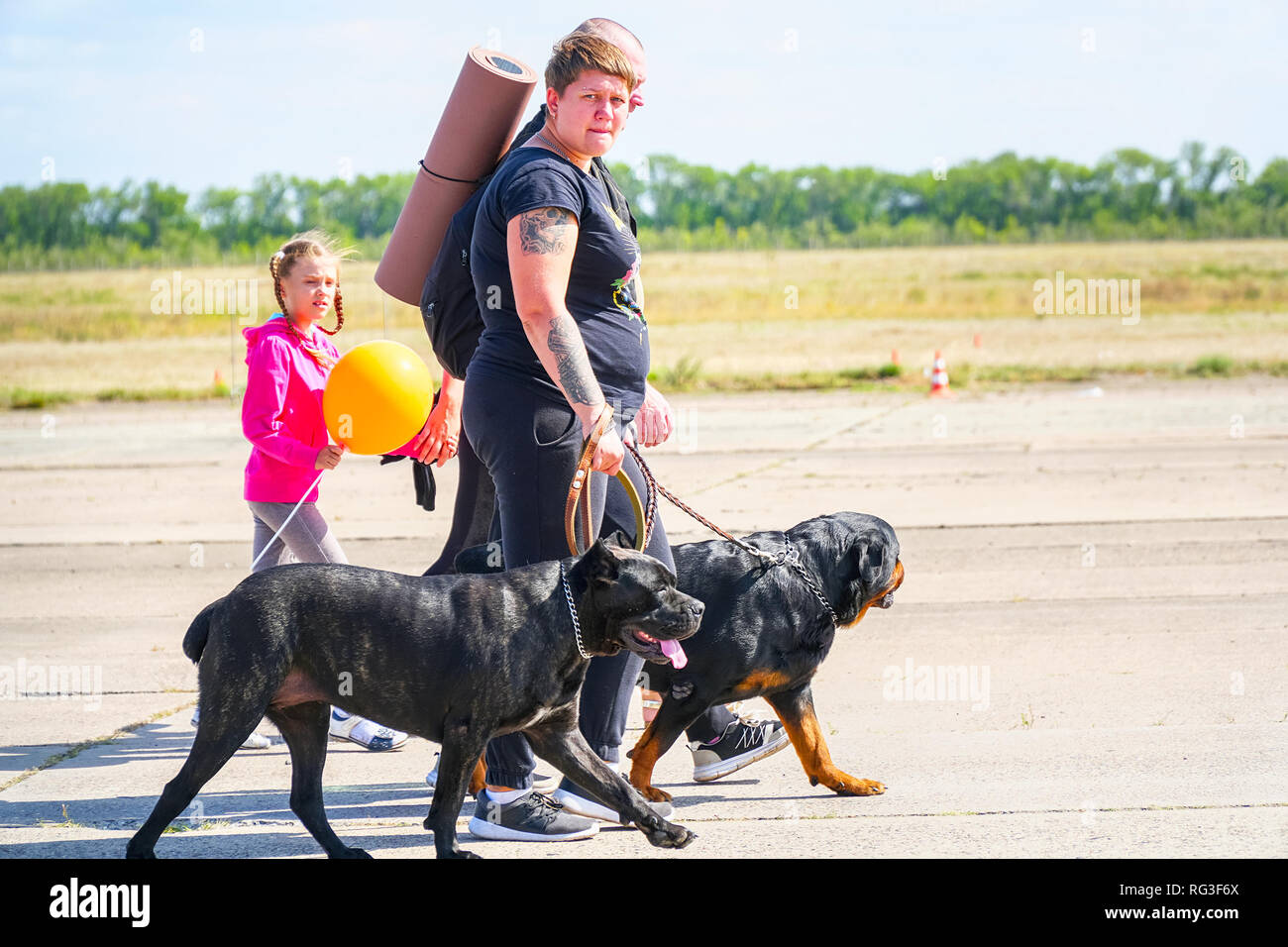 Rottweilers Stock Photos & Rottweilers Stock Images - Alamy
