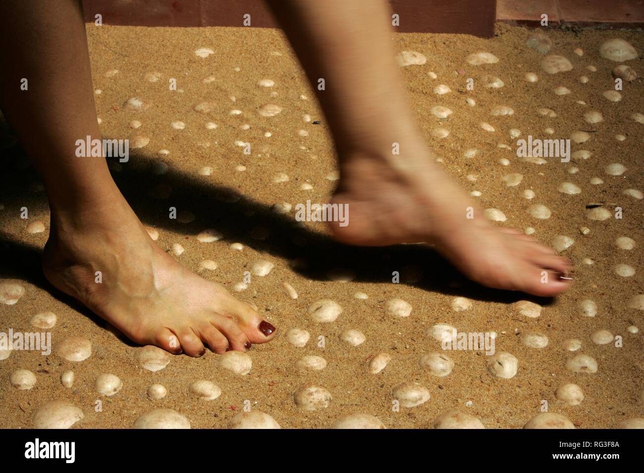 LKA, Sri Lanka Siddhalepa Ayurveda Resort , walking on llittle stones