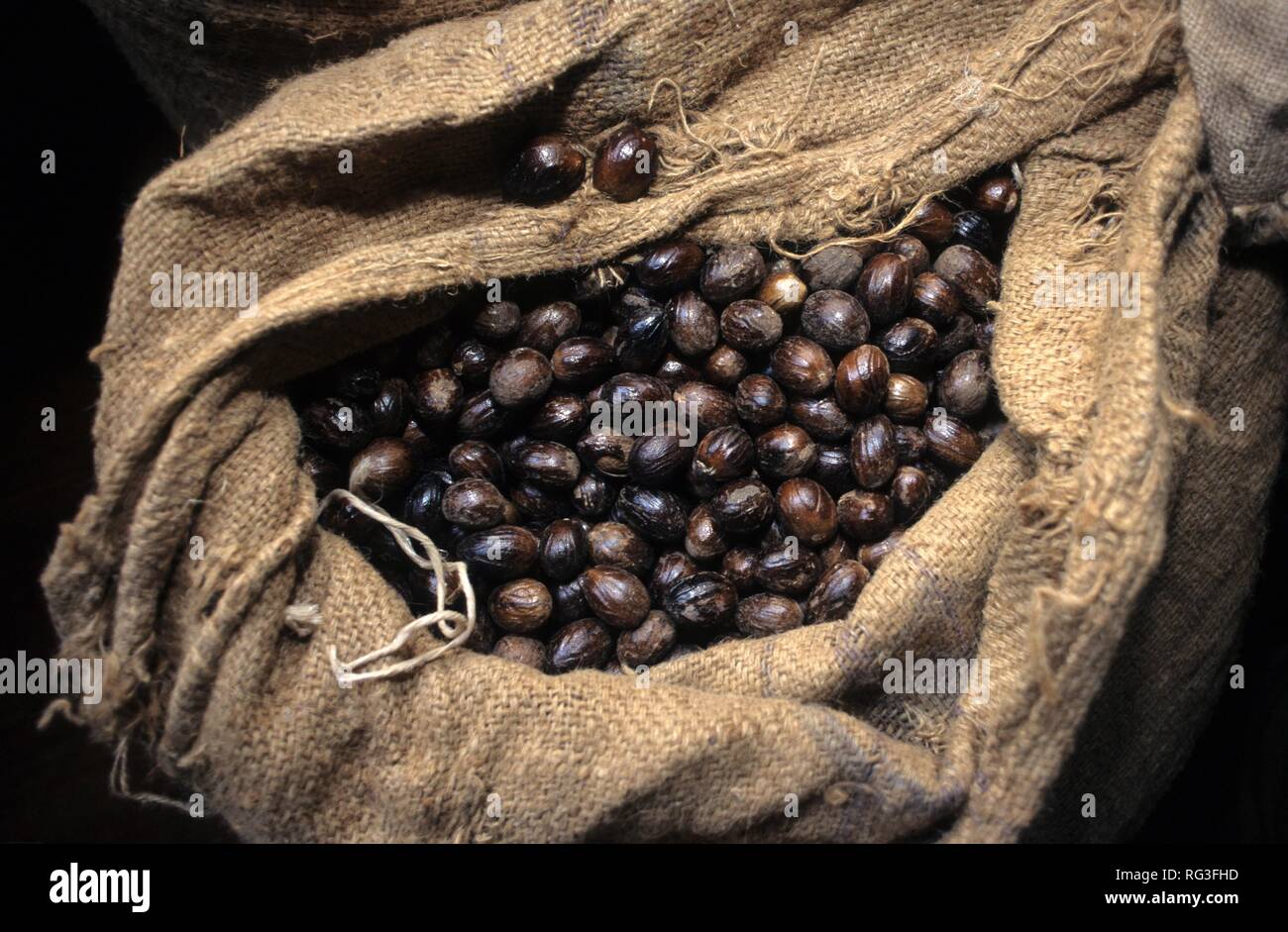 GRD, Grenada nutmeg apples. Grenada is the scond largest producer of