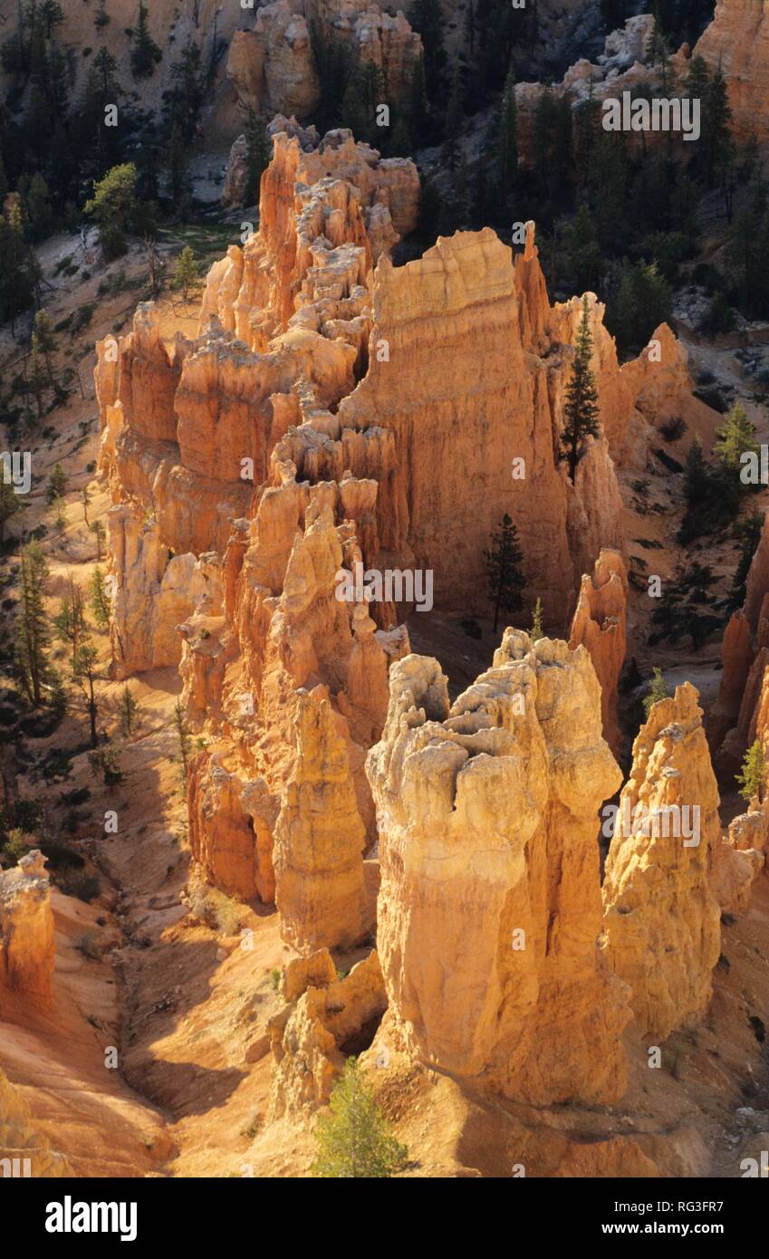 USA, United States of America, Utah: Bryce Canyon National Park. Stock Photo