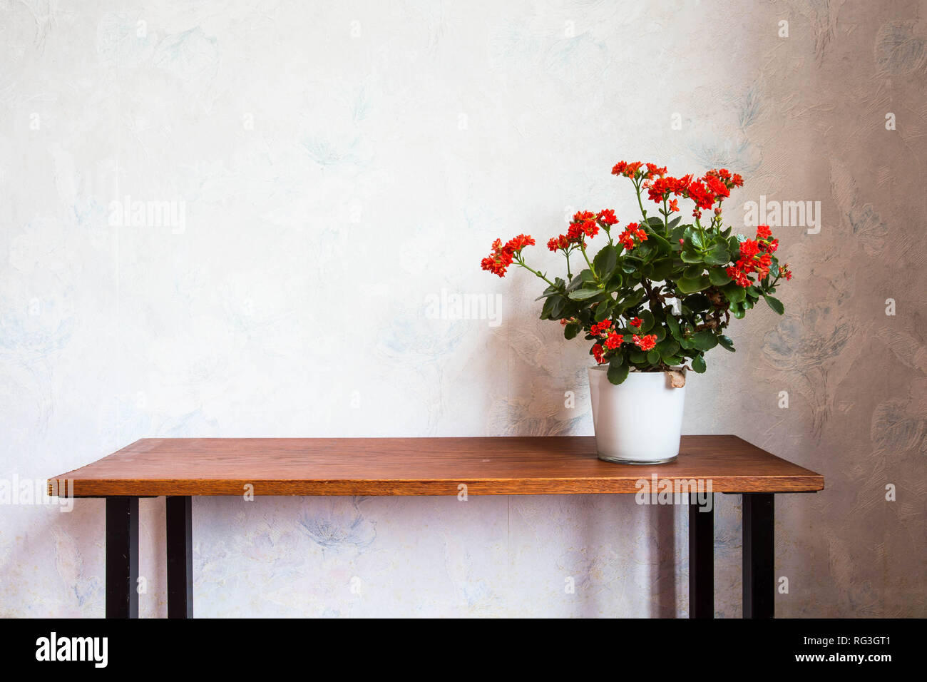 Flower pot with orange flowers on wooden table with wallpaper on the wall Stock Photo Alamy