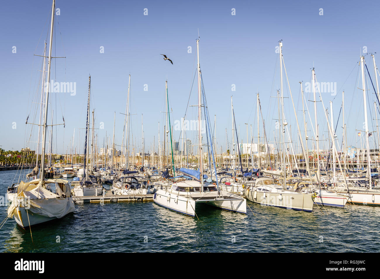 Sailboats docked at the marina in Barcelona on a bright spring day Stock Photo