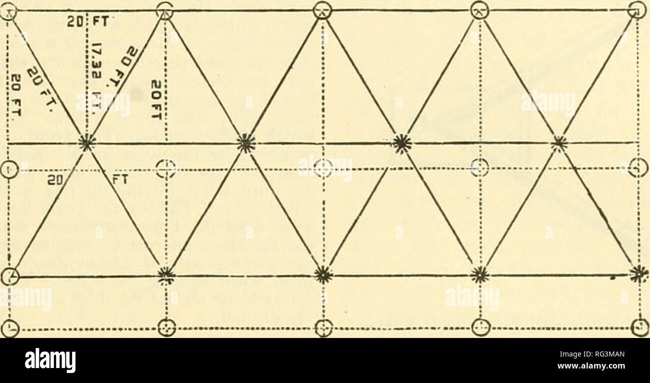 California fruits and how to grow them. Fruit culture. How to Grow Them 79  Laying out Hexagonals quincunx planting with the distance and half-  distance marks, except that the guide stakes