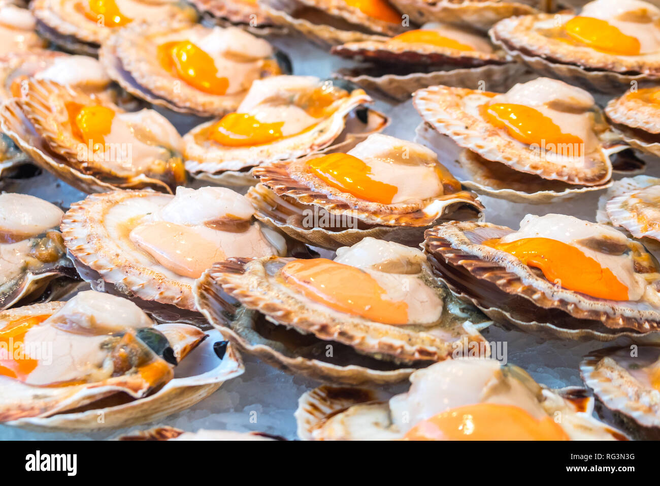 Queen scallops hires stock photography and images Alamy