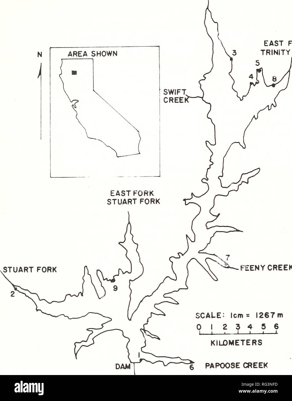 . California fish and game. Fisheries -- California; Game and game-birds -- California; Fishes -- California; Animal Population Groups; Pêches; Gibier; Poissons. 78 CALIFORNIA FISH AND CAME TRINITY RIVER EAST FORK 3 TRINITY RIVEP 5. FEENY CREEK SCAUE: icm = 1267m 0 1 2 3 4 5 6 I I 1—I—1 1 i- KiUOMETERS 6 PAPOOSE CREEK FICURE 1. Clair Engle Reservoir California, showing sampling stations in three types of habitats: (1) protected areas near major tributaries (Stations 2, 6, and 7); (2) sheltered gently sloping littoral areas (Stations 4, and 5); and (3) unprotected steeply sloping littoral areas Stock Photo