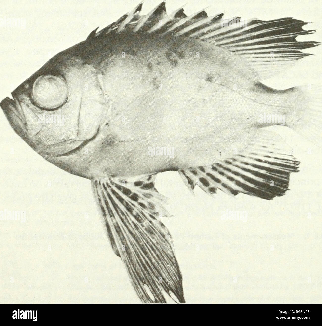 California Fish And Game Fisheries California Game And Game california-fish-and-game-fisheries-california-game-and-game