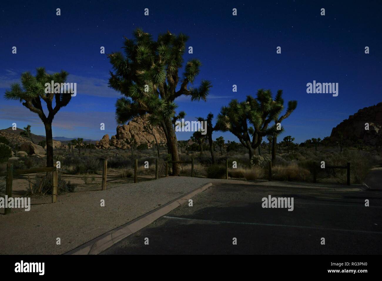 Joshua Tree National Park nighttime view from a parking lot Stock Photo