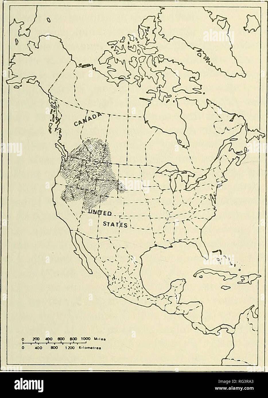 . The Canadian field-naturalist. 1992 Campbell: Status of the Mountain Sucker 29. Figure 2. Approximate North American range of the Mountain Sucker, Catostomus platyrhynchus. Saskatchewan; upper Missouri River drainage, Montana and Wyoming, and the Black Hills, South Dakota; White River and formerly, possibly, the Niobrara River, Nebraska&quot; (Smith 1966: 60-62). In Canada, the species has been reported from the South Saskatchewan River in Saskatchewan and Alberta; the Milk River drainage in the Cypress Hills region of Alberta and southwestern Saskatchewan; west in southern Alberta to the Fl Stock Photo