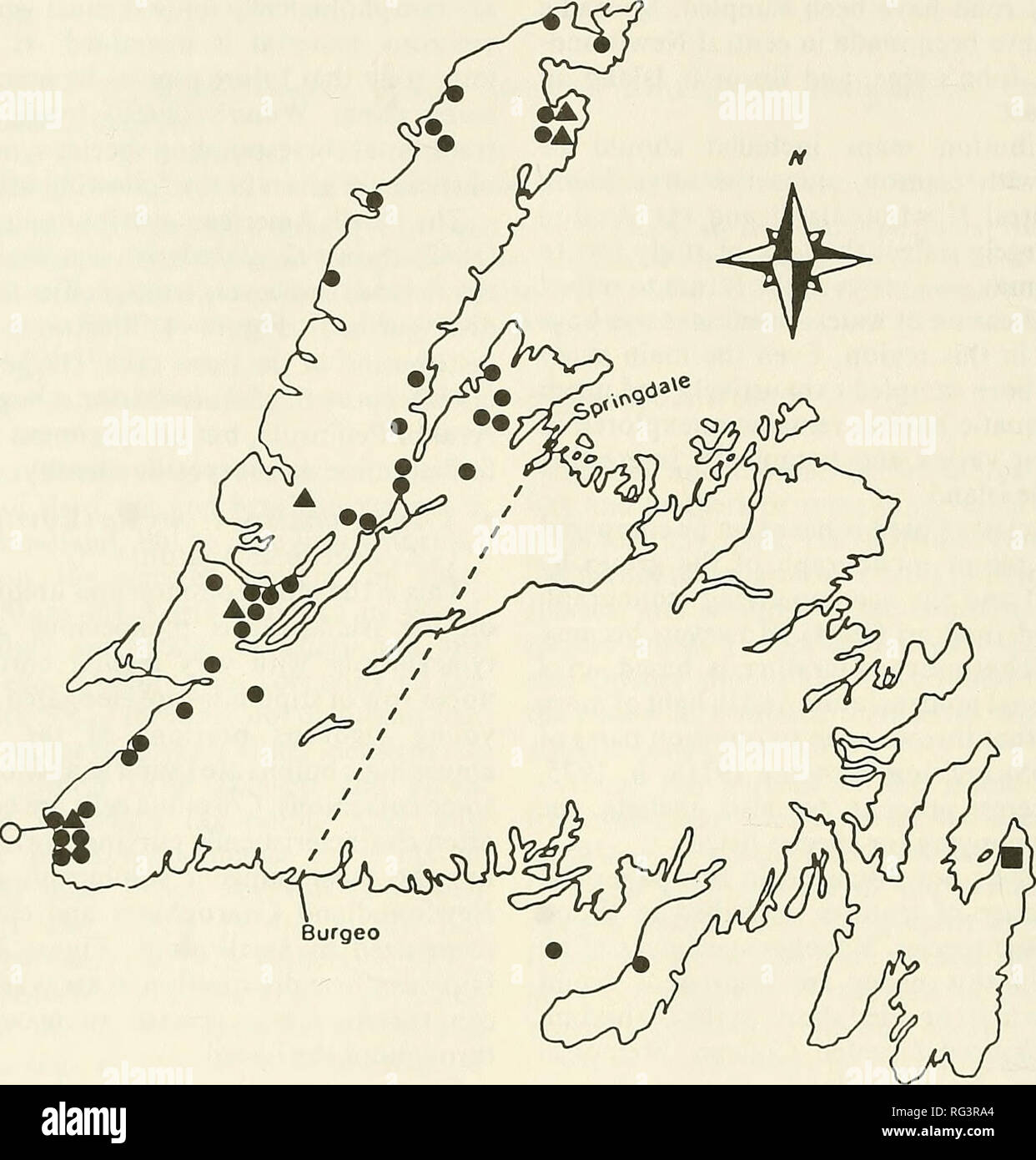 . The Canadian field-naturalist. 36 The Canadian Field-Naturalist Vol. 103. Figure 1. Distribution of C. globularis Thuill. in insular Newfoundland. â¢ = f. virgata A = f. globularis O = f. aspera â = f. unknown c. Chara globularis f. aspera (Deth. ex. Willd.) R.D.W. {-C. aspera Deth. ex. Willd.) This dioecious Chara is considered by many to be a distinct species or species complex rather than a form of C. globularis (Forsberg 1963; Croy 1982; Krause 1983), and Proctor (1971a) has shown that it is reproductively isolated from other members of the Chara globularis complex. The Newfoundland popu Stock Photo