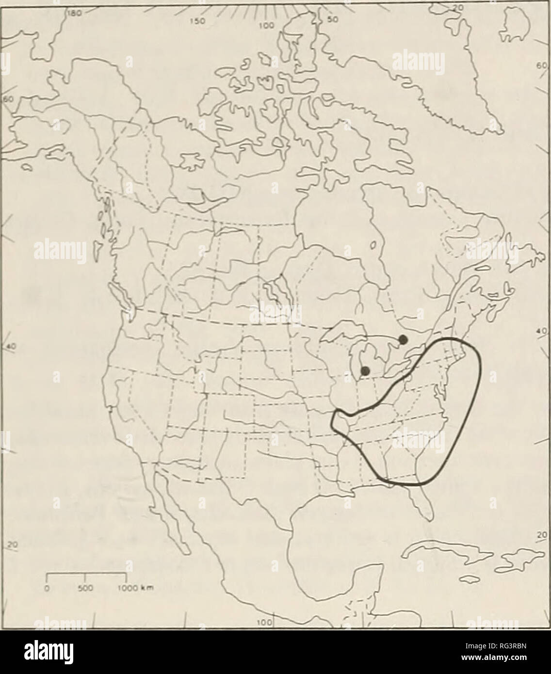 . The Canadian field-naturalist. 68 The Canadian Field-Naturalist Vol. 105. Figure 1. Distribution of Isoetes engelmannii in North America after Taylor et al. (1985) with the disjunct Georgian Bay locations and Michigan locality included. Ecology At both sites /. engelmannii was rooted in a fine sandy or silty substrate. Also at both sites, Isoetes echinospora, Isoetes X eatonii, Eleocharis acicula- ris, Najas flexilis, Sagittaria graminea, Vallisneria americana and small plants of Potamogeton richardsonii were growing nearby. At Big Chute additional associated species in approximate order of  Stock Photo