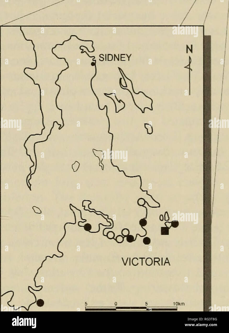 . The Canadian field-naturalist. Natural history. 50Â°N VANCOUVER ISLAND sr^N 49Â°N 128Â°W ^27Â°W-^^26Â°^N 125Â°W 124Â°W/ '123Â°W. Figure 2. Distribution of Sanicula arctopoides in British Columbia (o - extirpated sites, â¢ - recently con- firmed sites, â - present status unknown). Cat's-ear {Hypochaeris radicata). Although the overall site quality is fair to good, introduced species appeared to be more abundant here than at the Trial Islands Ecological Reserve. The population of S. arctopoides at Saxe Point Park is located on a gently sloping south facing grassy bluff in shallow soil over bed Stock Photo