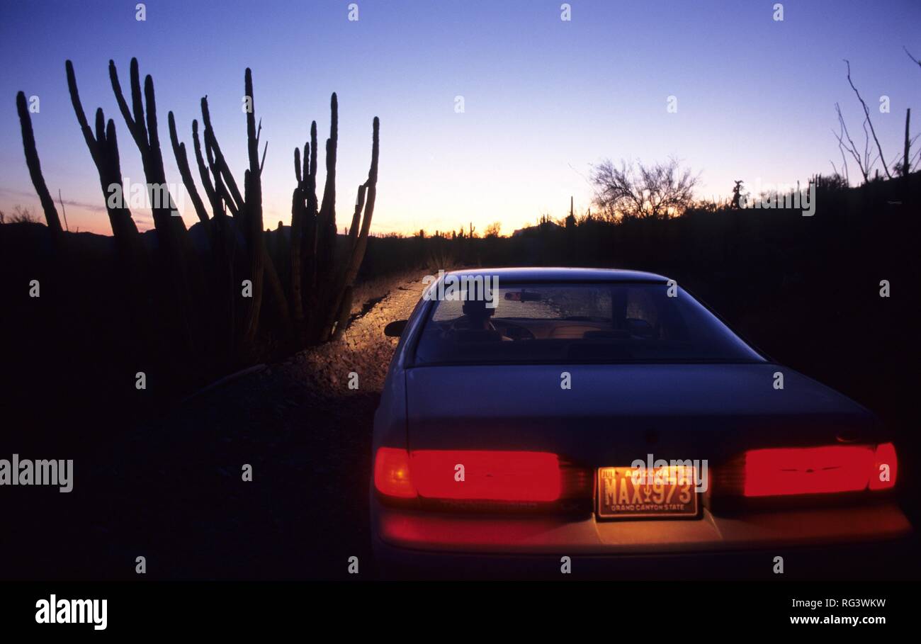 USA, United States of America, Arizona: Organ Pipe National Monument, car on the loog road through the park. Stock Photo