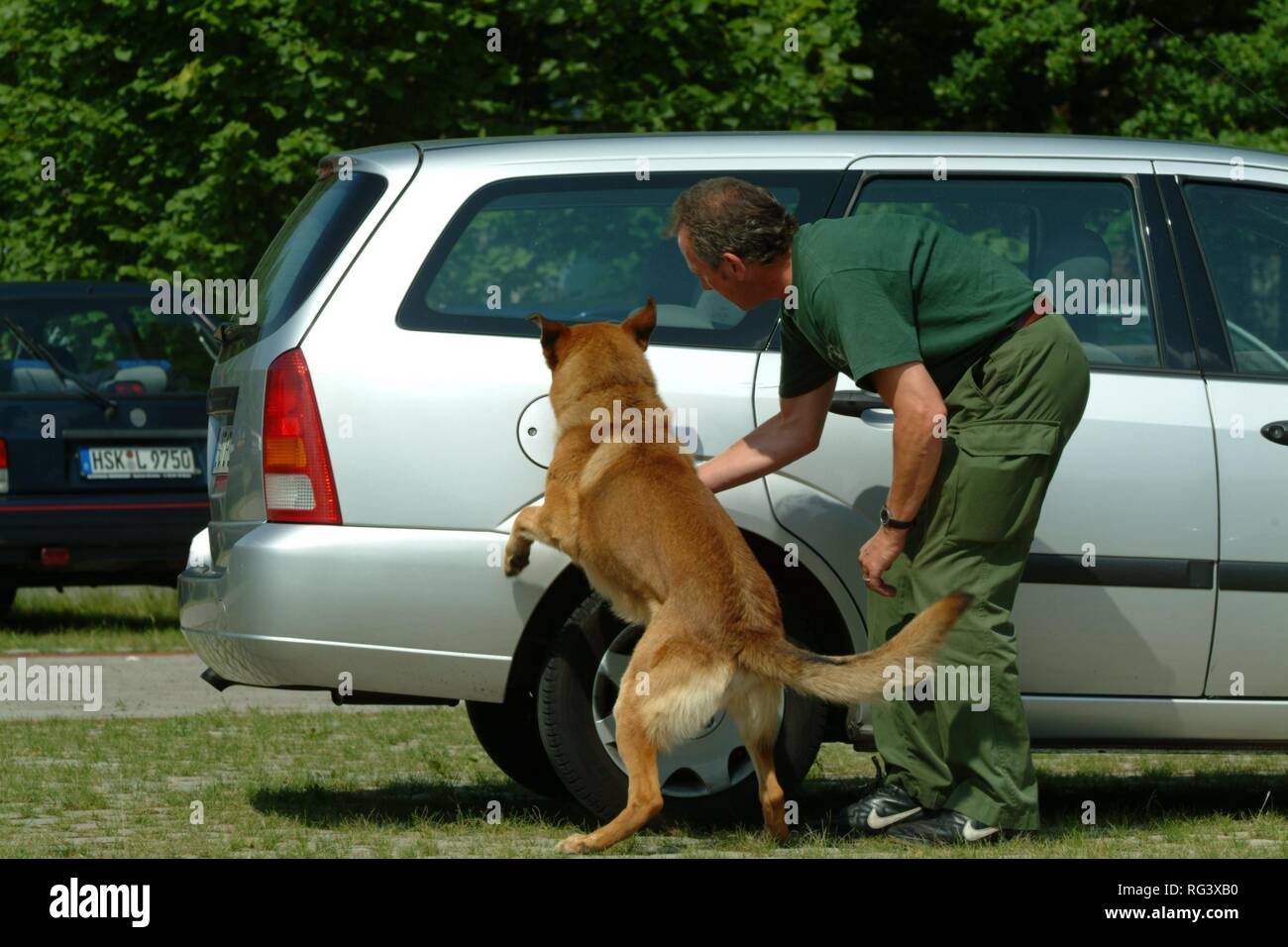 DEU, Germany, NRW: Search for drugs.Special dog/officer unit to detect the smell of drugs. Police dogs, K9 unit. Stock Photo