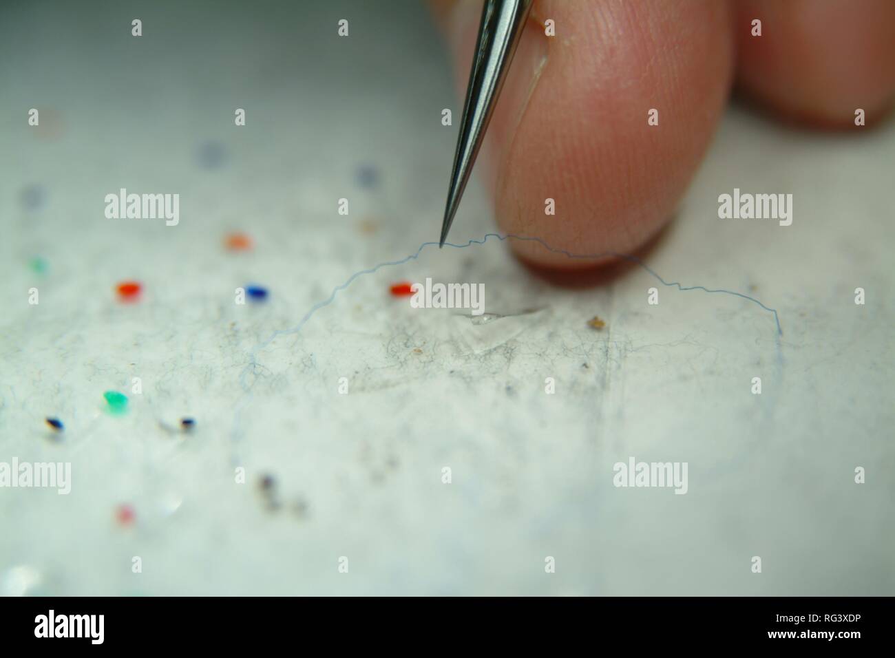 DEU, Germany, NRW: Forensic laboratory for fibers. The fibers, which have been found at the cloth of a victim will be compared Stock Photo