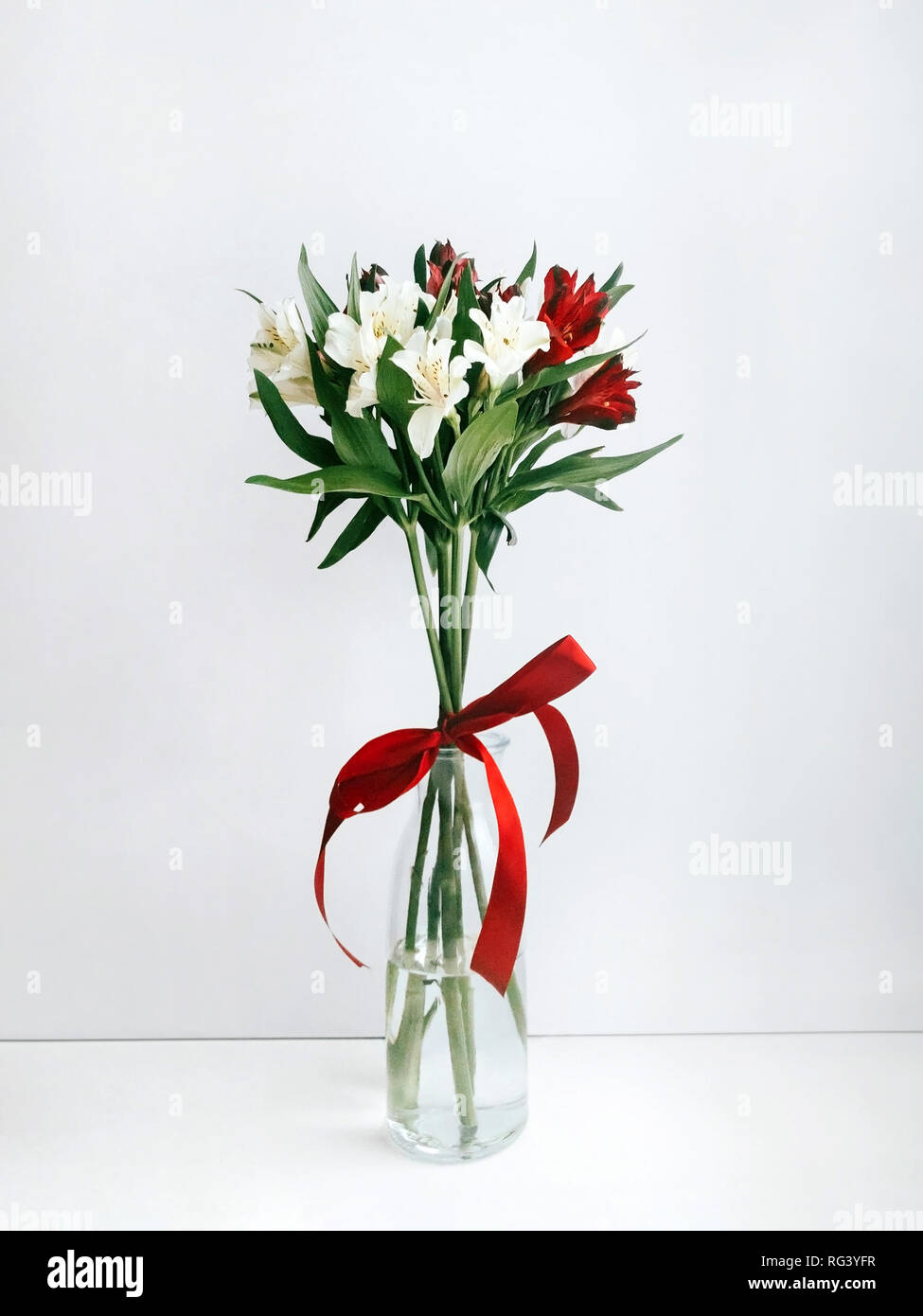 Bouquet In A Vase Minimalistic Style A Bouquet With Red And White