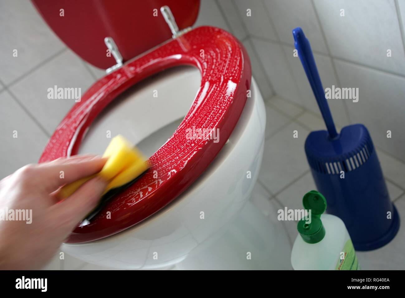 DEU, Germany : Housecleaning in a private house/apartment. Cleaning in the bathroom. Toilett, WC. Stock Photo